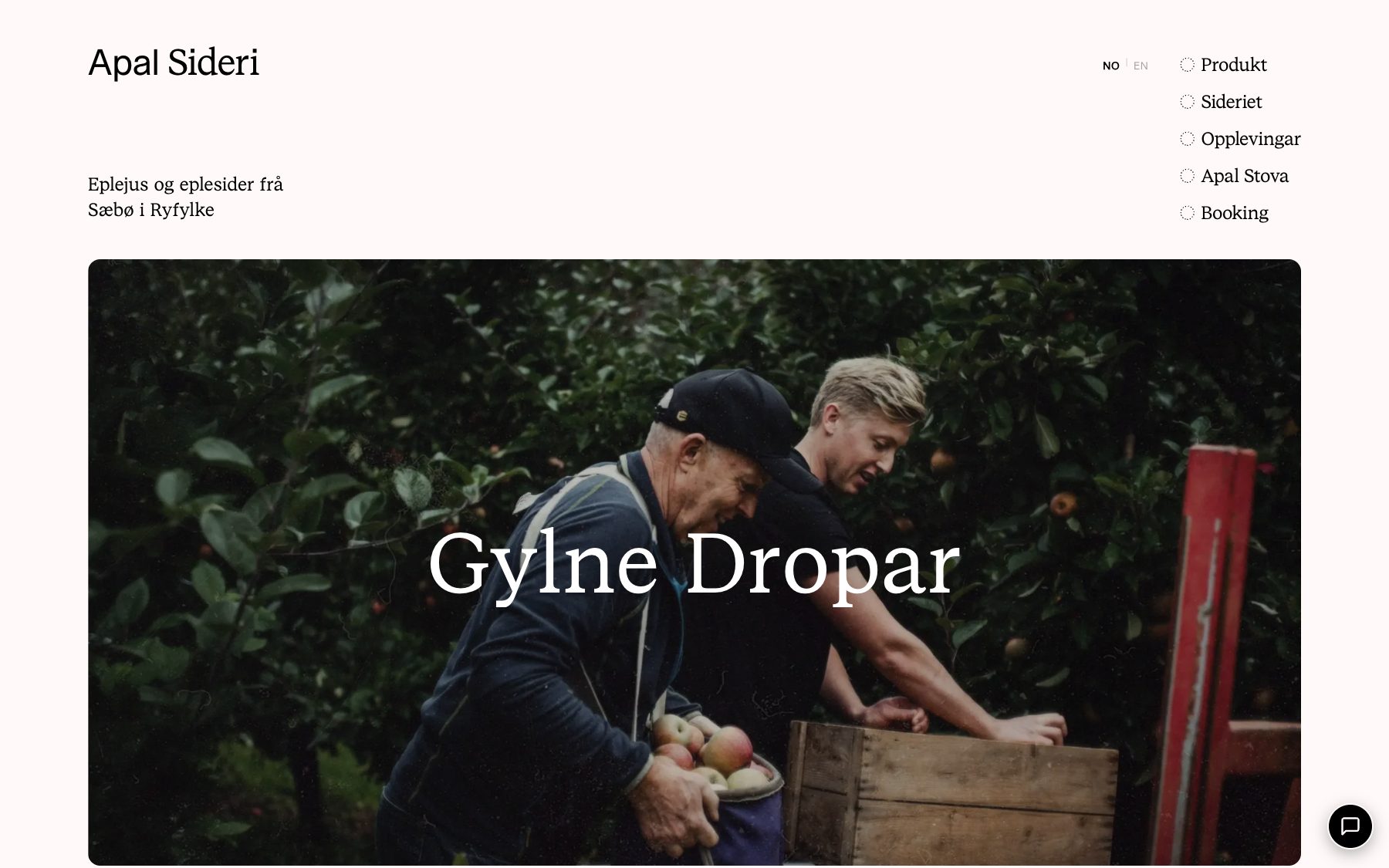 Skjermbilde av apalsideri.no